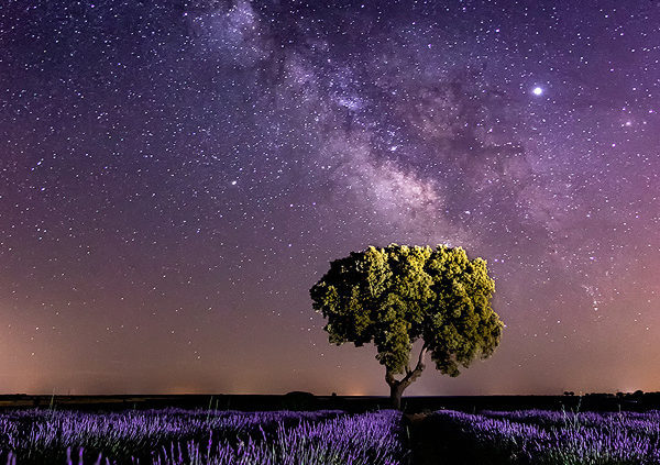 Cómo fotografiar estrellas y la Vía Lactea –  Foto nocturna y Astropaisaje